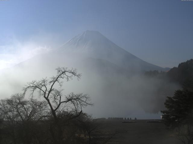 精進湖からの富士山