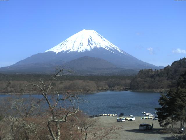 精進湖からの富士山