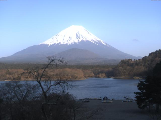 精進湖からの富士山