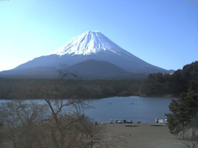 精進湖からの富士山