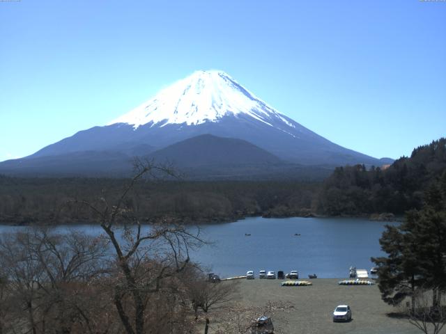 精進湖からの富士山