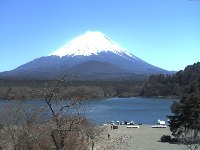 精進湖からの富士山