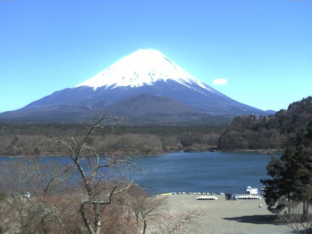 精進湖からの富士山