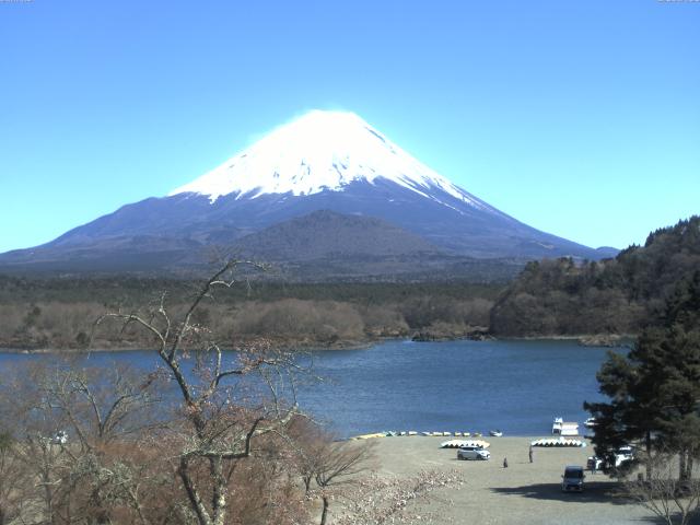 精進湖からの富士山