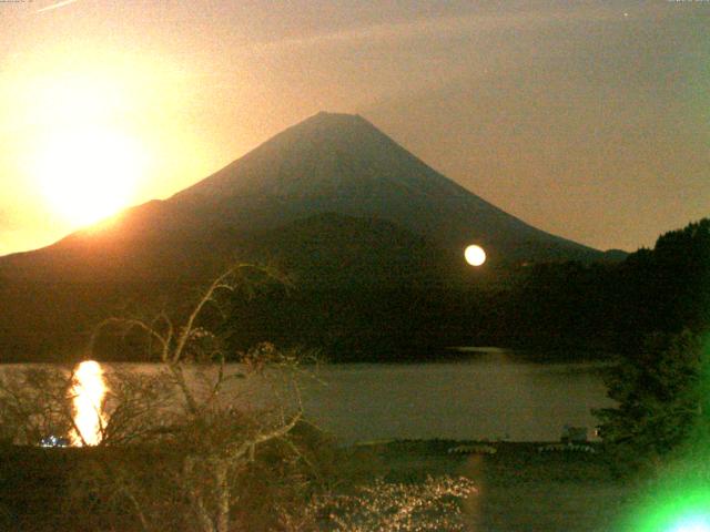 精進湖からの富士山