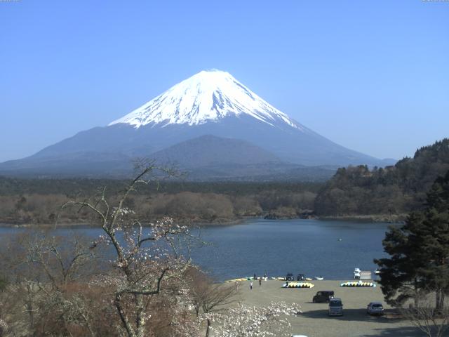 精進湖からの富士山