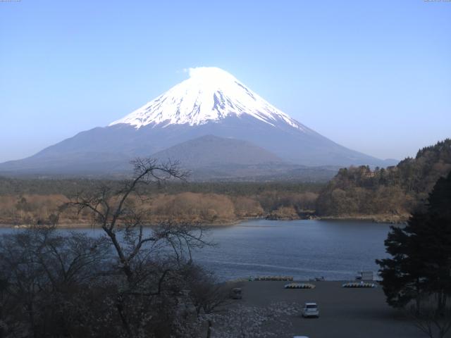 精進湖からの富士山