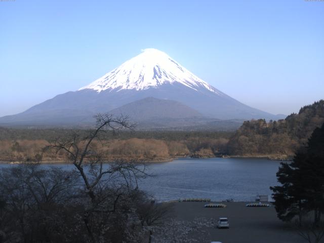 精進湖からの富士山