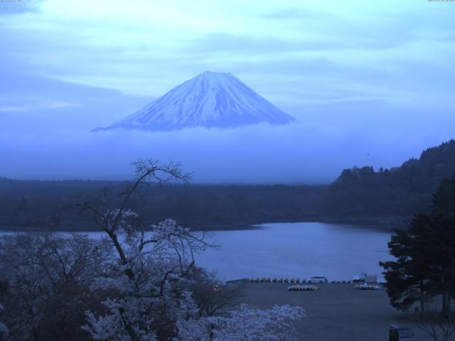 精進湖からの富士山