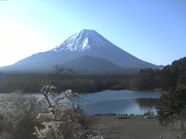 精進湖からの富士山