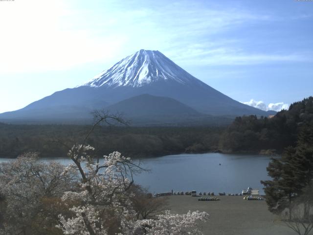 精進湖からの富士山