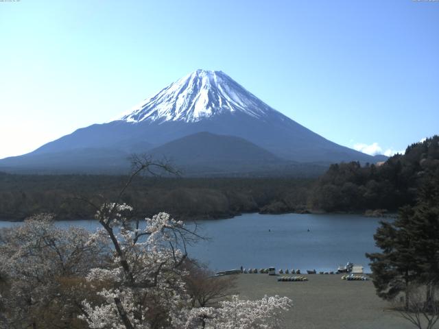 精進湖からの富士山