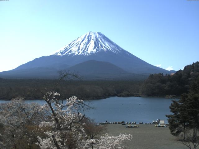 精進湖からの富士山
