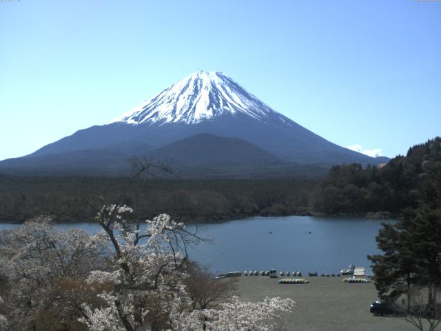 精進湖からの富士山