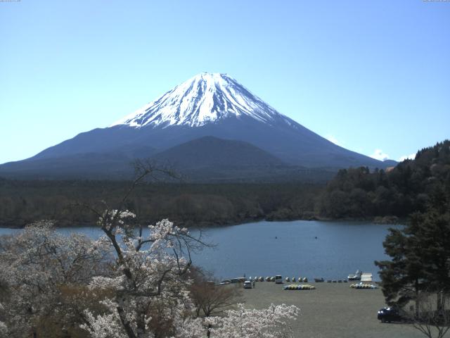 精進湖からの富士山