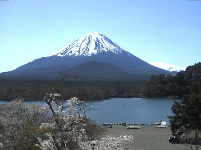 精進湖からの富士山