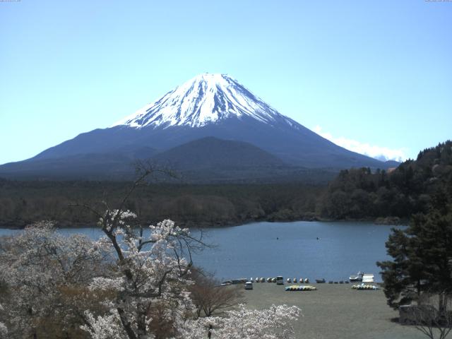 精進湖からの富士山