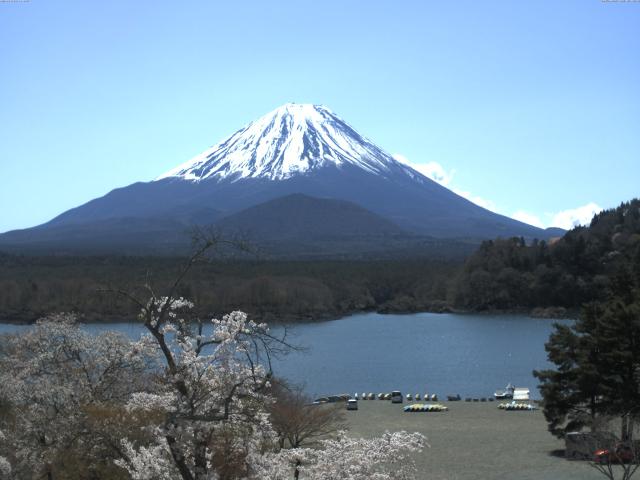 精進湖からの富士山