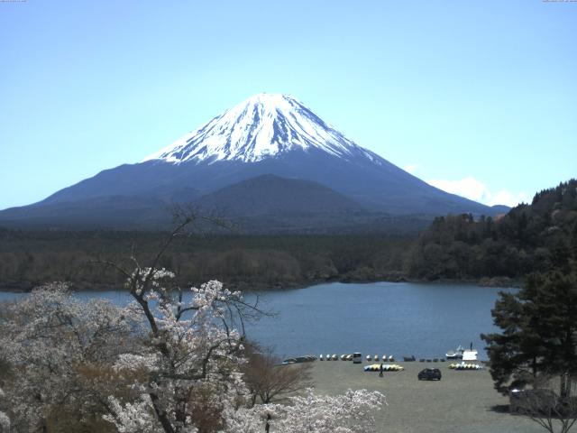 精進湖からの富士山