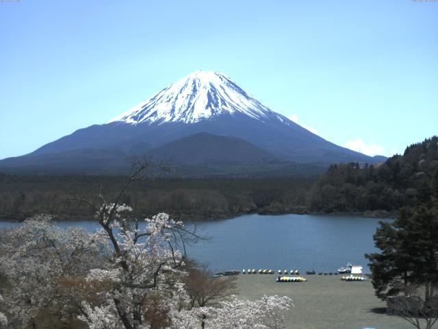 精進湖からの富士山