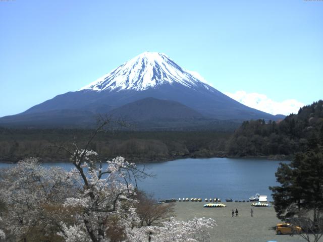 精進湖からの富士山