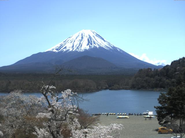 精進湖からの富士山