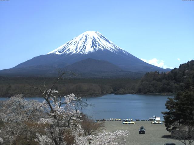 精進湖からの富士山