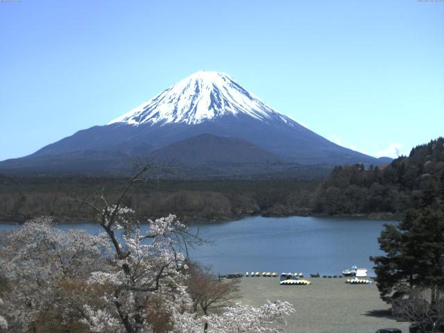 精進湖からの富士山