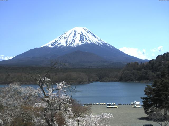 精進湖からの富士山