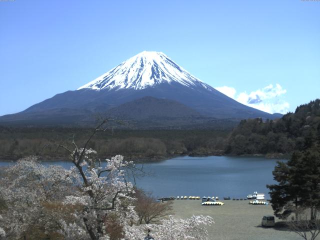 精進湖からの富士山