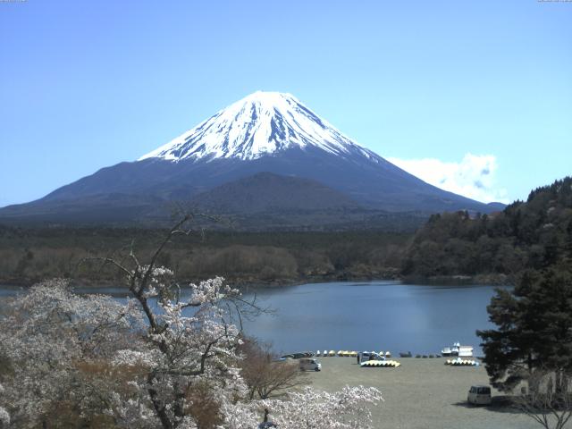 精進湖からの富士山