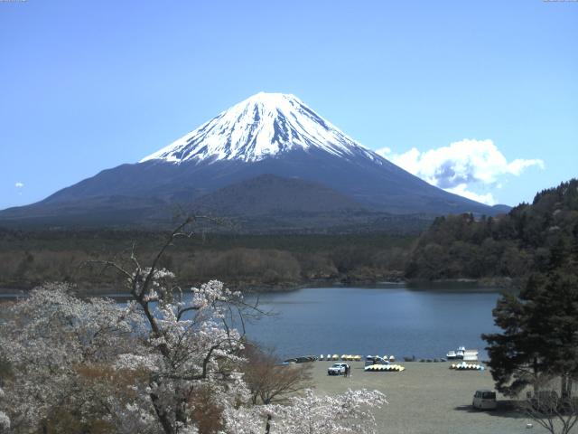 精進湖からの富士山