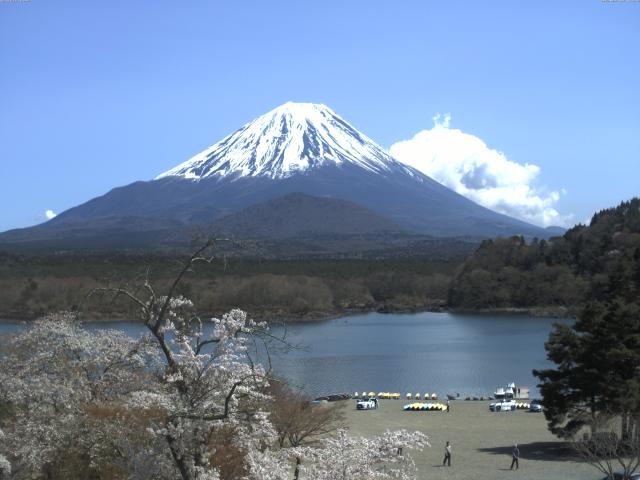 精進湖からの富士山