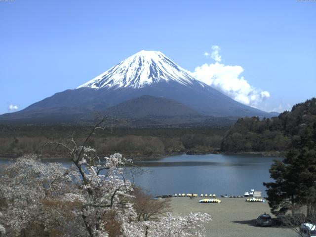精進湖からの富士山