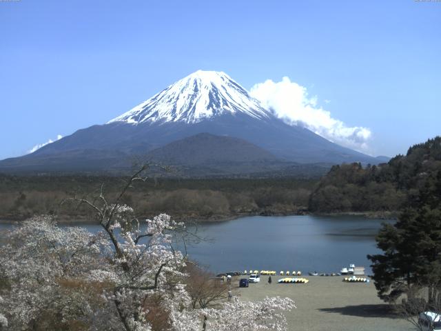 精進湖からの富士山