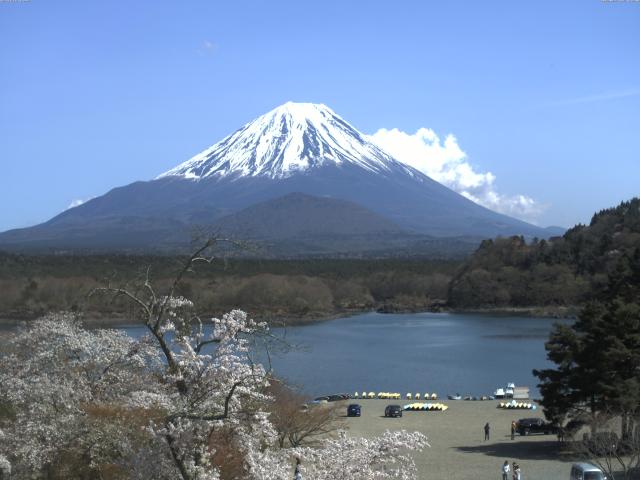 精進湖からの富士山