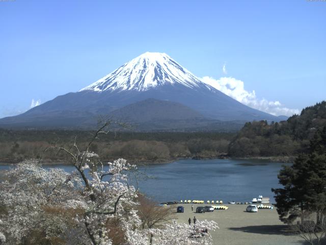 精進湖からの富士山