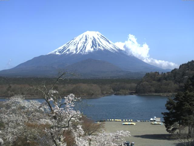 精進湖からの富士山