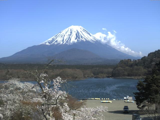精進湖からの富士山