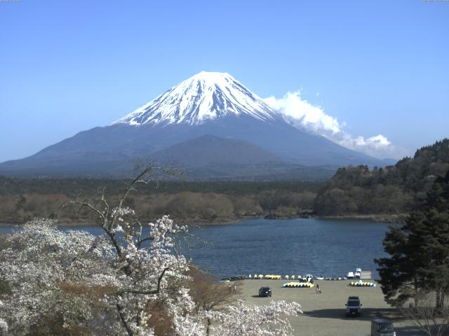 精進湖からの富士山