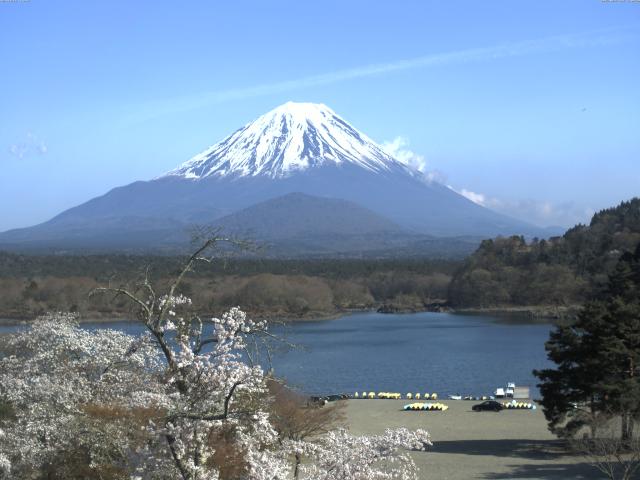 精進湖からの富士山