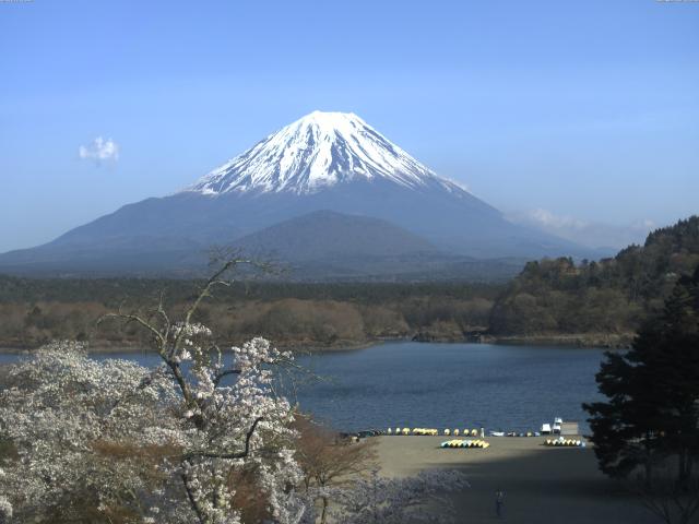 精進湖からの富士山