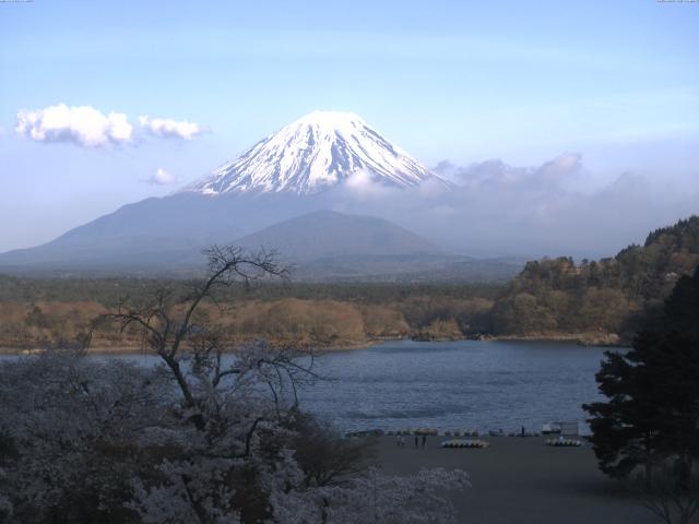 精進湖からの富士山