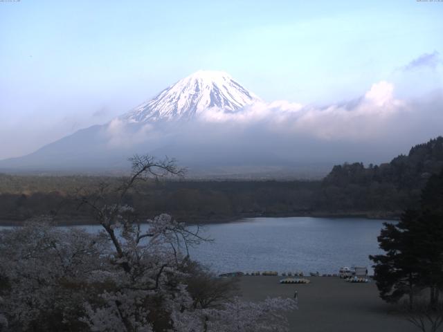精進湖からの富士山