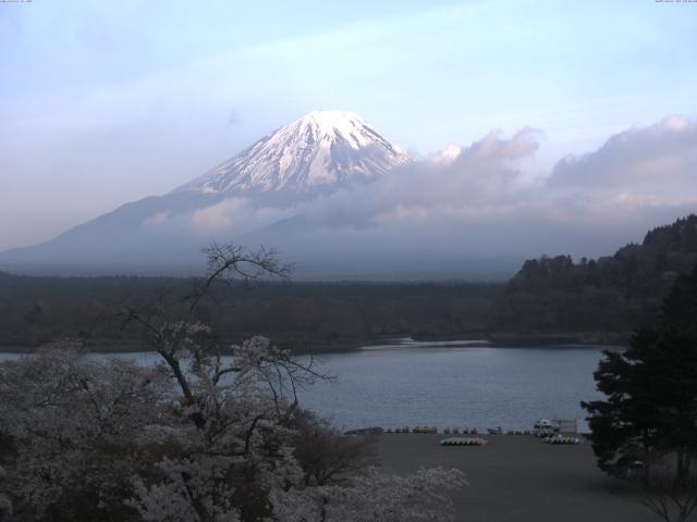 精進湖からの富士山