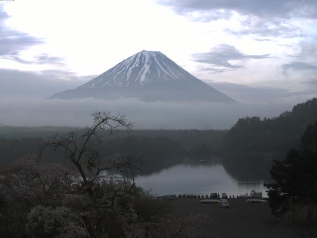 精進湖からの富士山