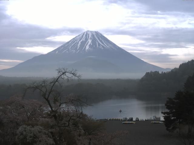 精進湖からの富士山