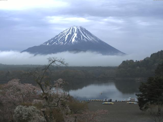 精進湖からの富士山