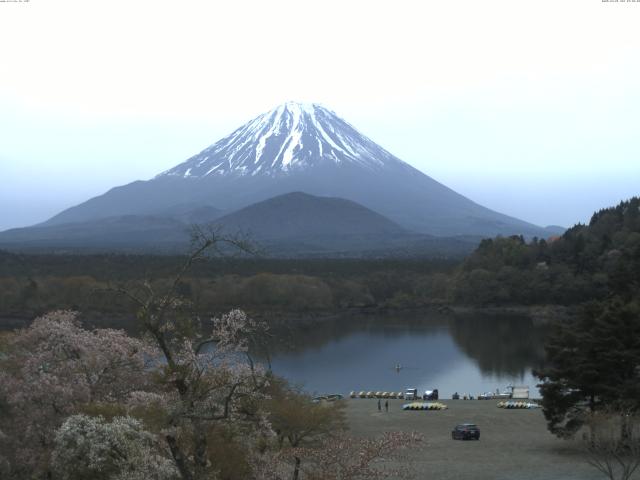 精進湖からの富士山