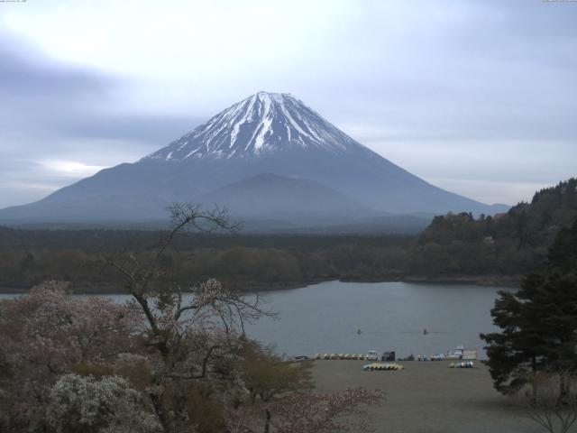 精進湖からの富士山